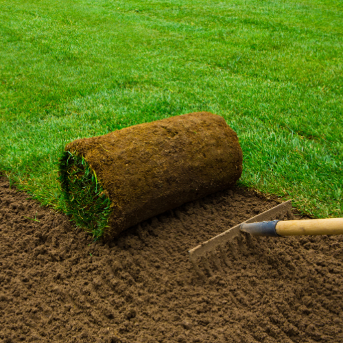 Service Splash Image